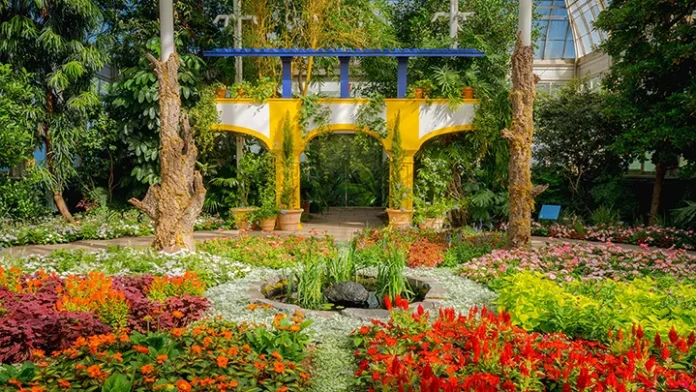 Gotham Lounge’da sunulacak olan Van Gogh Flowers sergisinden bir fotoğraf