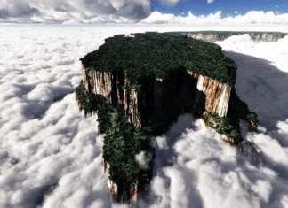 Doğa Harikalarına Yolculuk: Roraima Dağı Roraima Dağı'ndan bir görünüm.