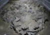 Mamut kemikleri buzul çağında barınak oldu Ukrayna Mezhyrich'te bulunan mamut kemiklerinden yapılmış buzul çağı barınağının arkeolojik kalıntıları. (Görsel kaynağı: Pavlo Shydlovskyi)