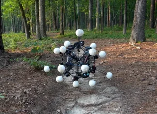 20 bacaklı robot Argus'un ormandaki görseli.