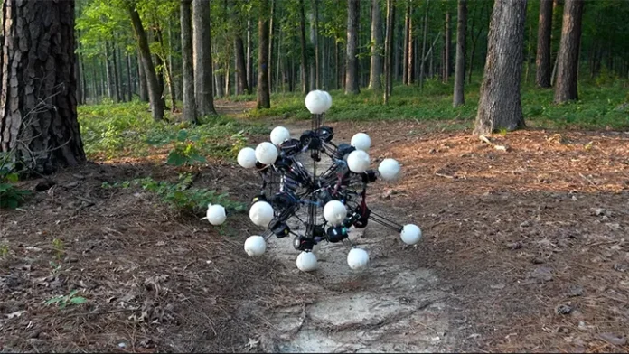 Argus 20 bacaklı robot Argus'un ormandaki görseli.