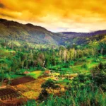 Doğa Harikalarına Yolculuk: Papua Yeni Gine Papua Yeni Gine'den bir manzara