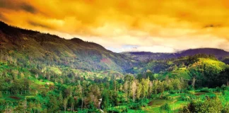 Doğa Harikalarına Yolculuk: Papua Yeni Gine Papua Yeni Gine'den bir manzara