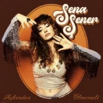 Sena Şener’den yeni dönem: “Aşkından Ölmemeli” Sena Şener - Aşkından Ölmemeli cover