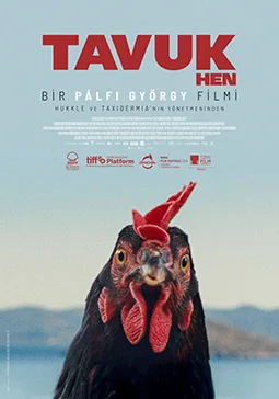 Tavuk (Hen) film afişi